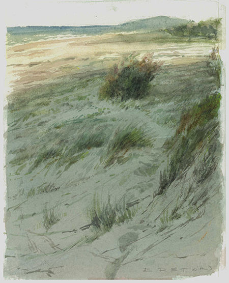 Casuarina (Dune Paths Study) by Scott  Breton | Lethbridge Gallery